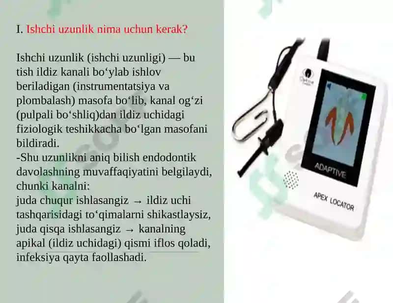 Ildiz kanalini ishchi uzunligini aniqlash usullari 2