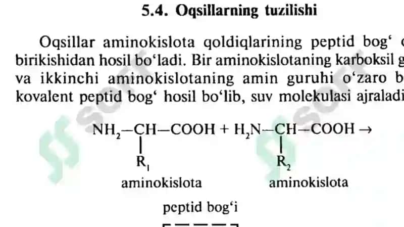 Oqsillarning tuzilish 2