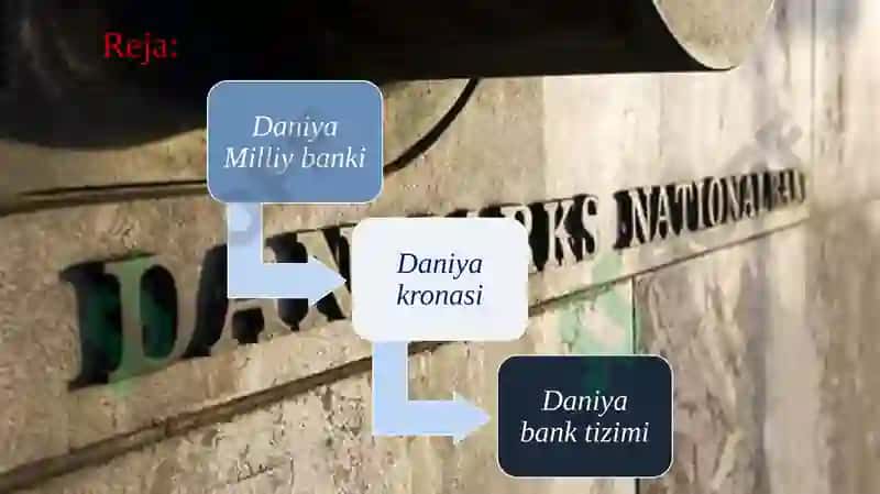 Daniya Bank Tizimi 2