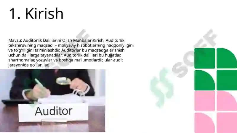 Auditorlik Dalillarini Olish Manbalari 2