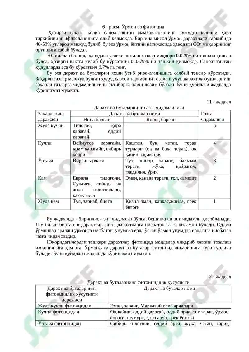Ҳавонинг таркиби ўзгаришининг ўрмонга таъсири 2