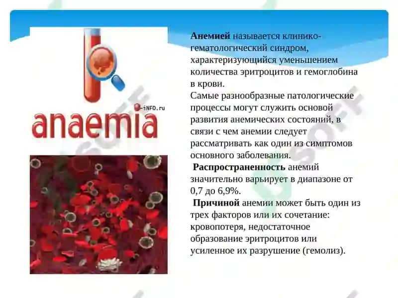 Этиология и потогинез жта 2
