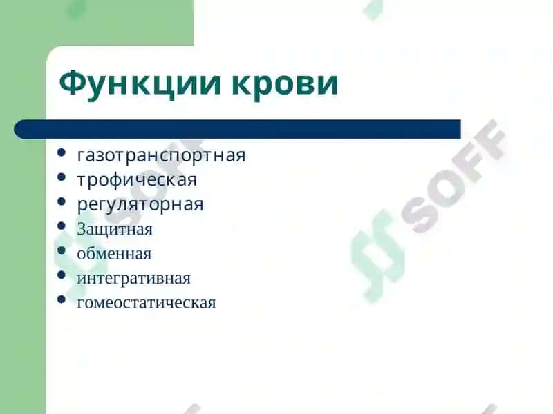 Патофизиология крови 2
