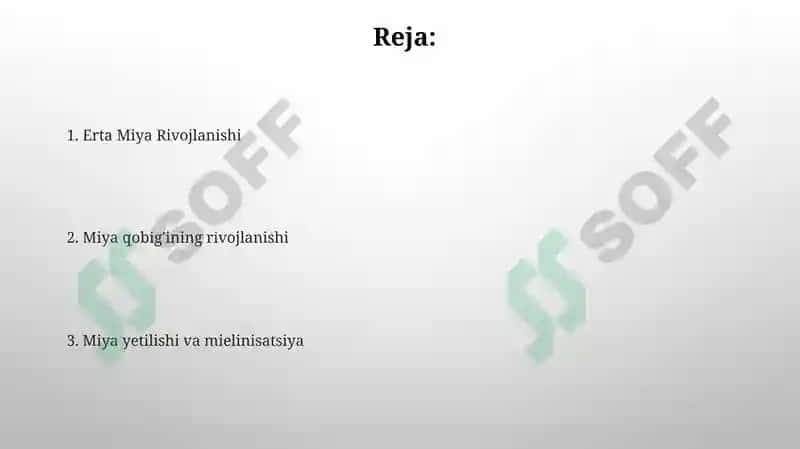 Miyacha rivojlanish anatomiyasi 2