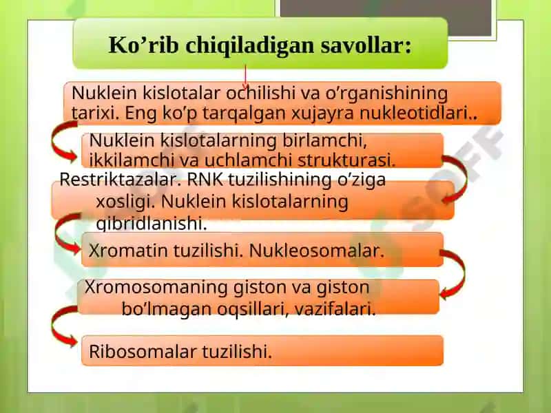 Nuklein kislotalar tuzilish va funksiyalari 2