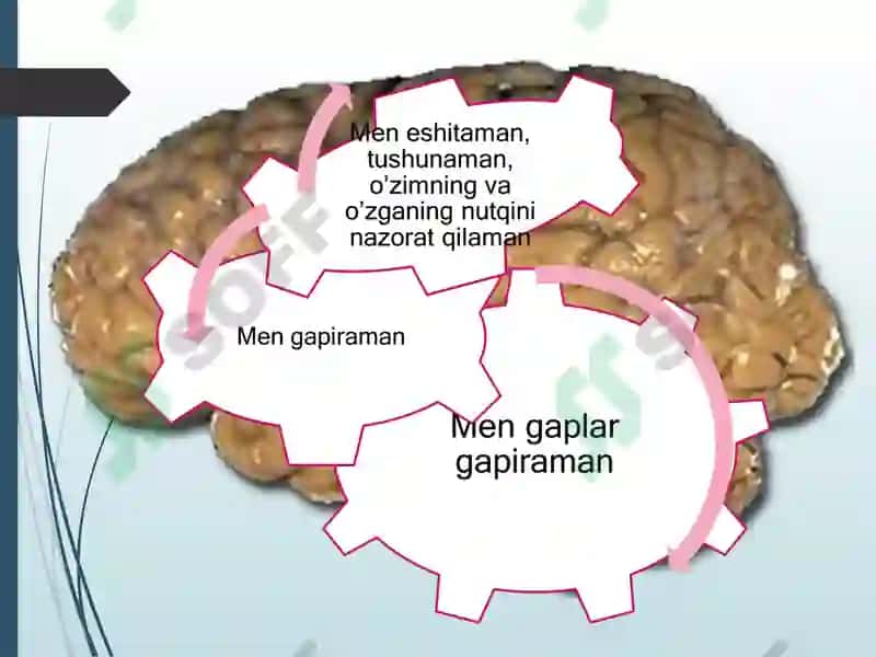 Аfaziya klassifikatsiyalari 2