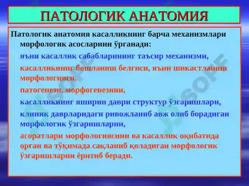 ПАТОЛОГИК АНАТОМИЯ 2