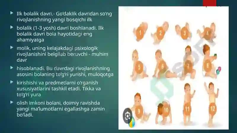 Ilk bolalik davri psixologiyasi 2