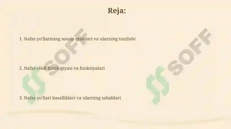 Nafas yo’llarining tuzilishi 2