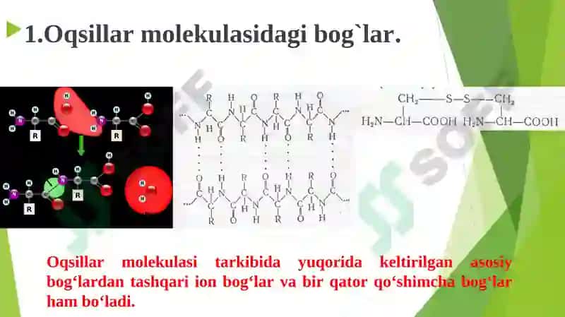 Oqsillar strukturasi, klassifikatsiyasi 2