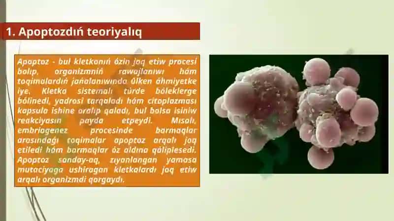 Apoptoz 2