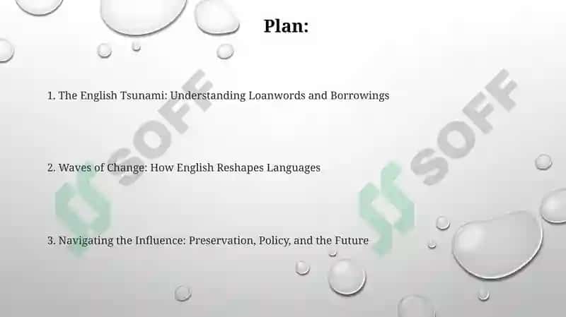 Loanwords and Borrowings: Influence of English on Native Language 2
