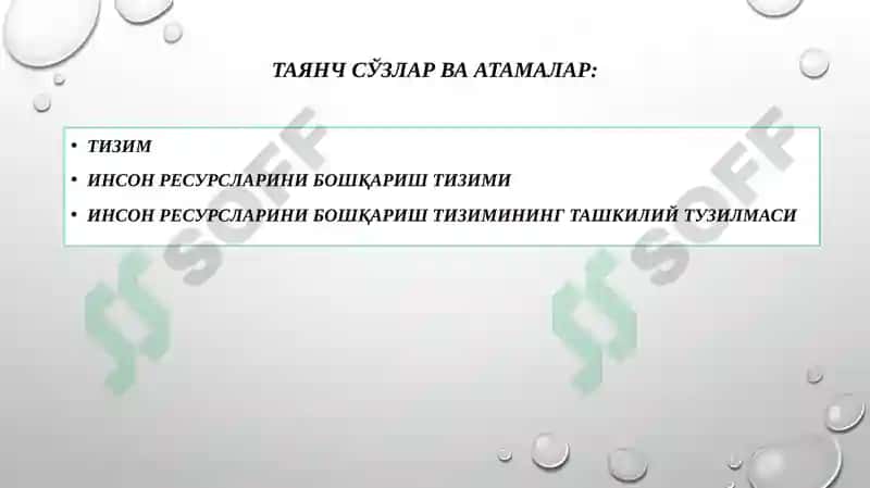 Инсон ресурсларини бошқариш тизими 2