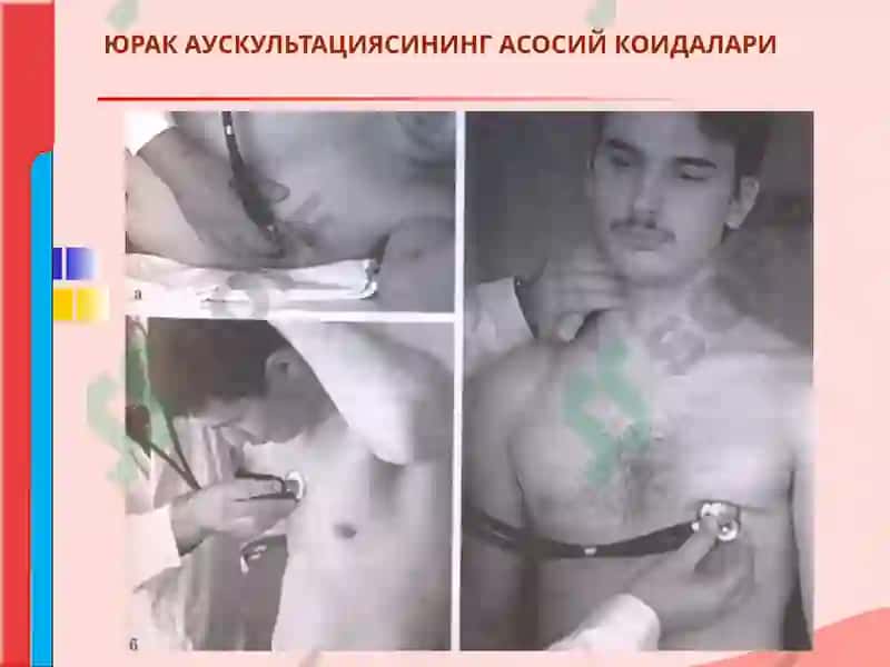 ЮРАК АУСКУЛЬТАЦИЯСИ 2