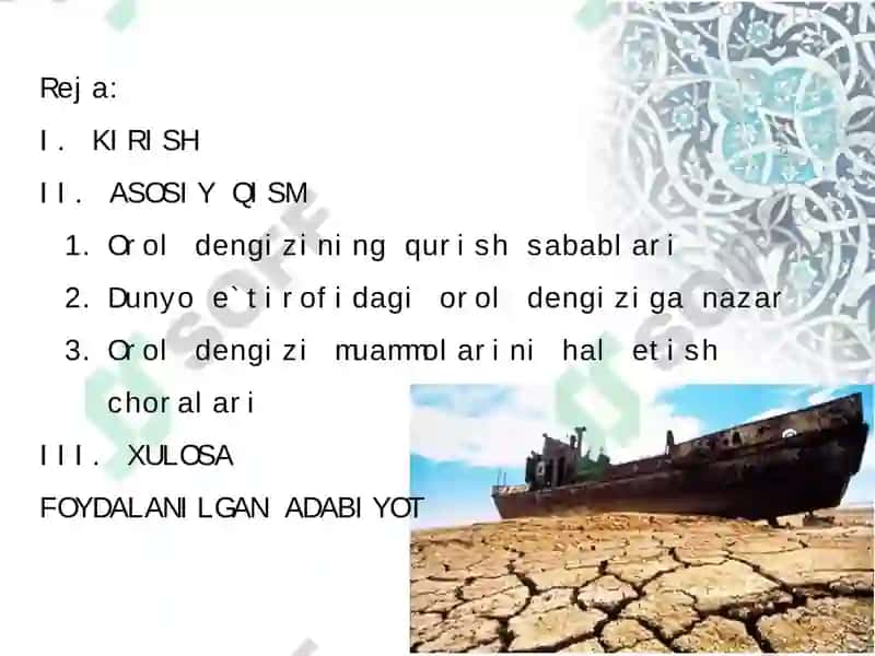 OROL BO‘YI HUDUDIDAGI EKOLOGIK MUAMMOLAR 2