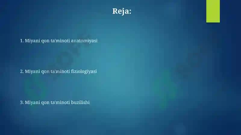 MRT angiografiyasi 2