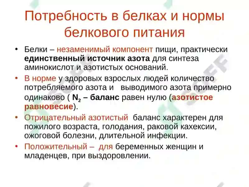 Обмен белка и аминокислот 2