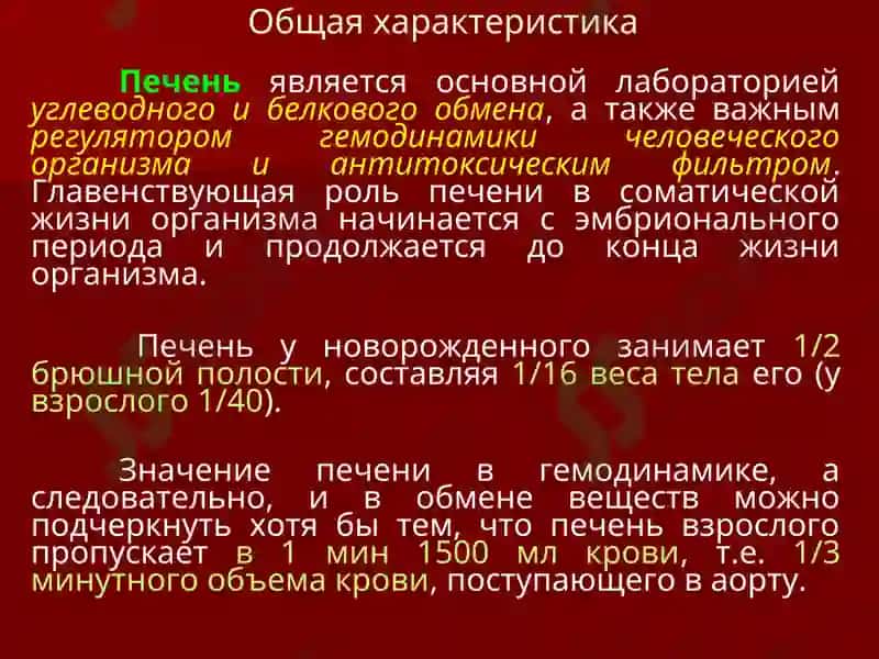Хирургическая анатомия печени 2