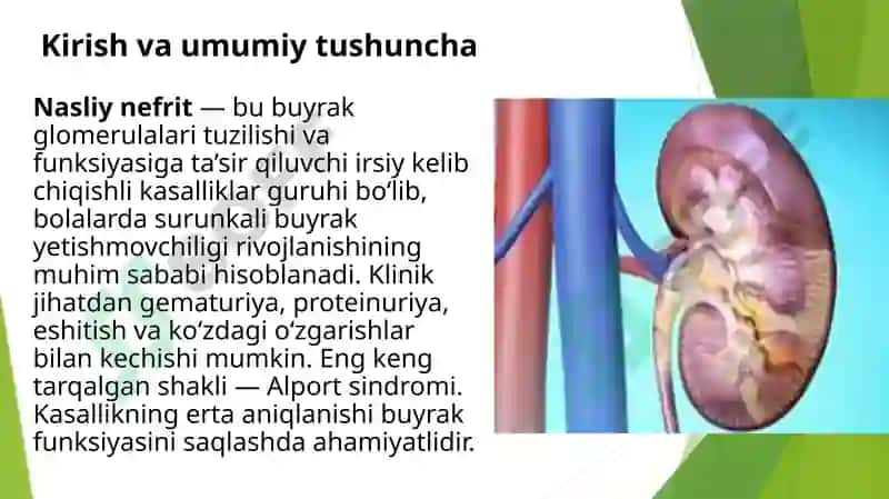 Nasliy nefrit: tasnif, patogenez, klinikasi, diagnostikasi, differensial diagnostikasi va davolash 2
