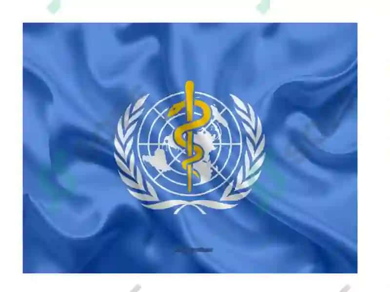 World Health Organization(WHO) 2