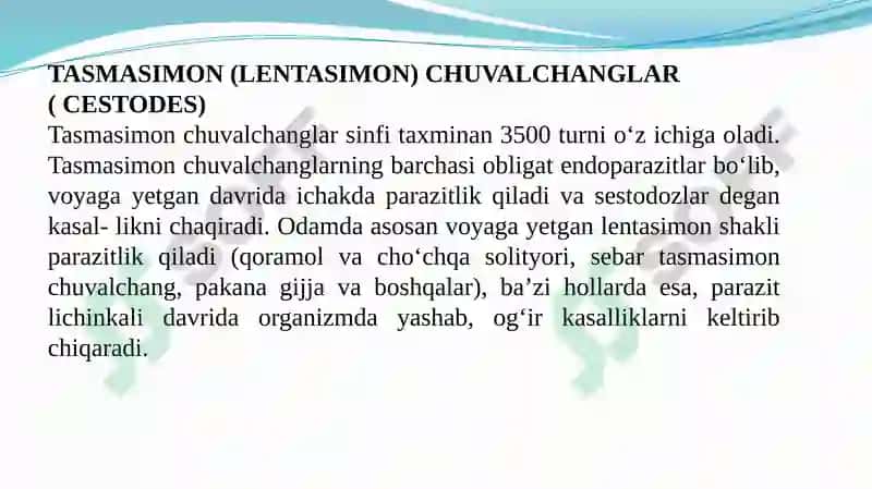 TASMASIMON (LЕNTASIMON) CHUVALCHANGLAR 2