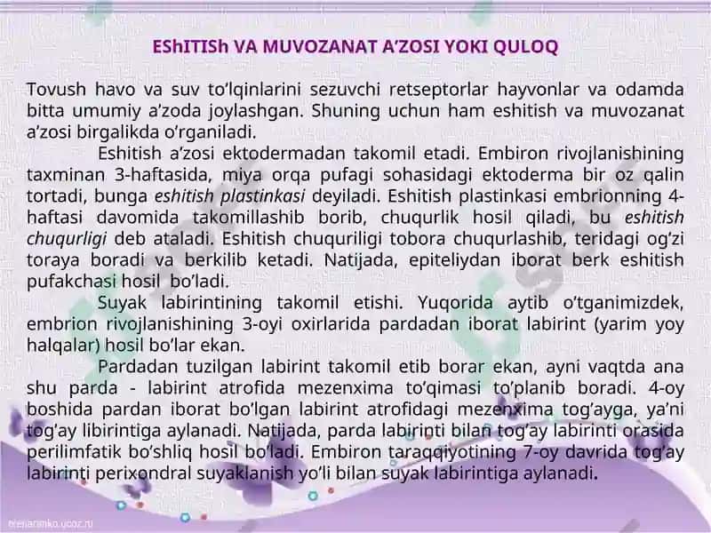 ESHITISH АNАLIZАTОRININGTUZILISHI 2