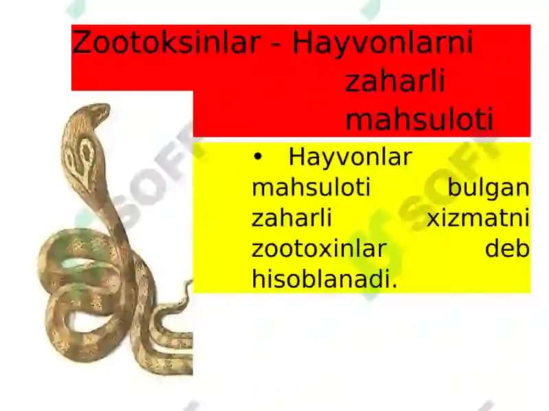 Zaharli hayvonlar 2