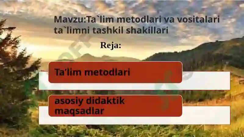 Ta`lim metodi va vositalari ta`limni tashkil etish shakllari 2
