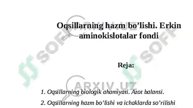 oqsilarni hazm bolishi 2