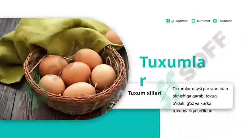 Tuxumlar 2