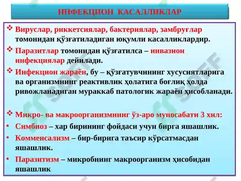 Инфекцион касалликлар 2