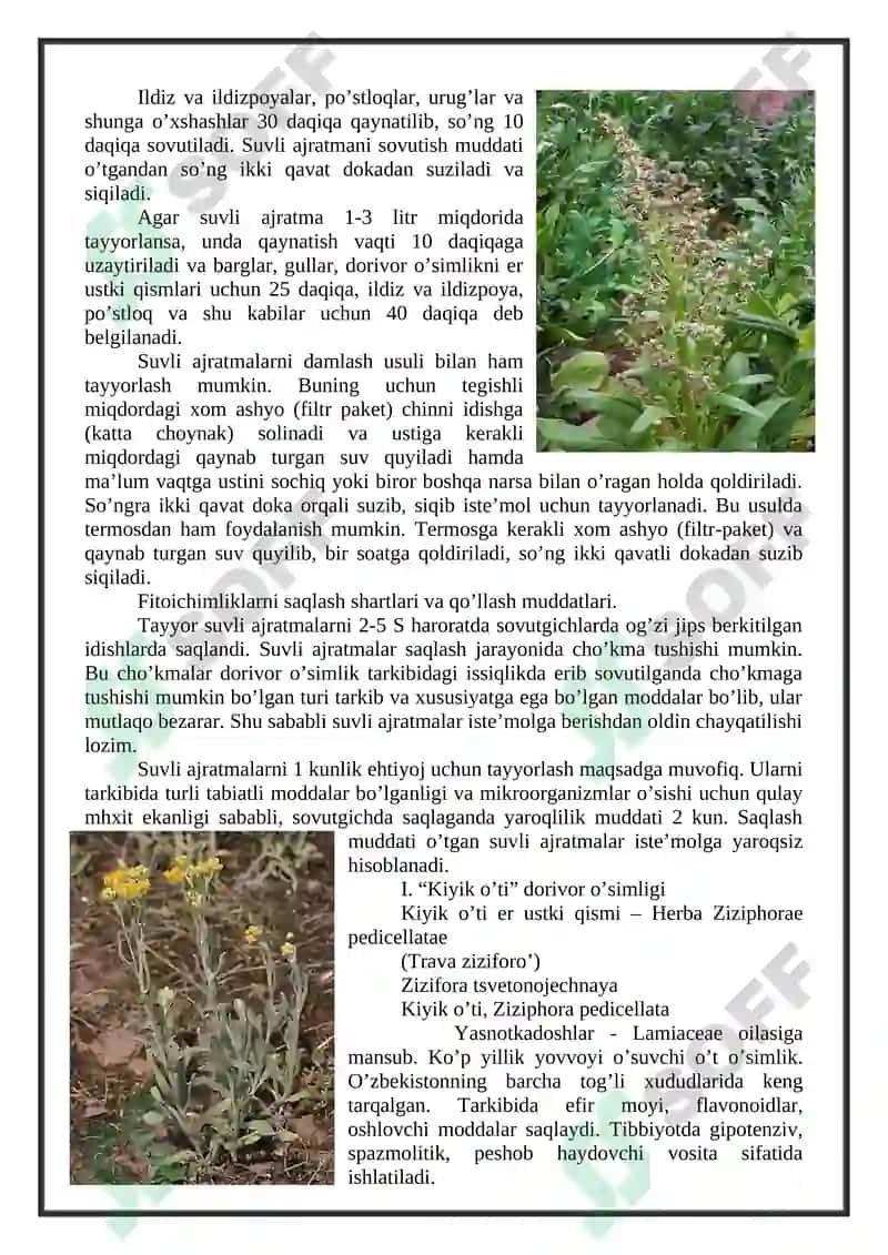 Suvli ajratmalar (damlama va qaynatmalar) 2