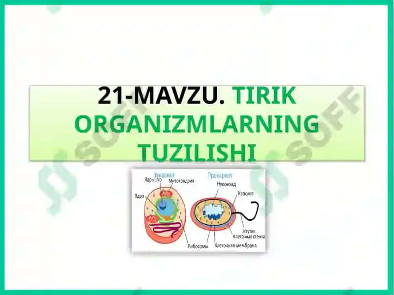 Tirik Organizmlarning Tuzilishi 2