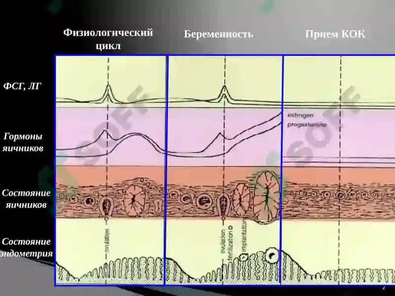 Оральные контрацептивы 2