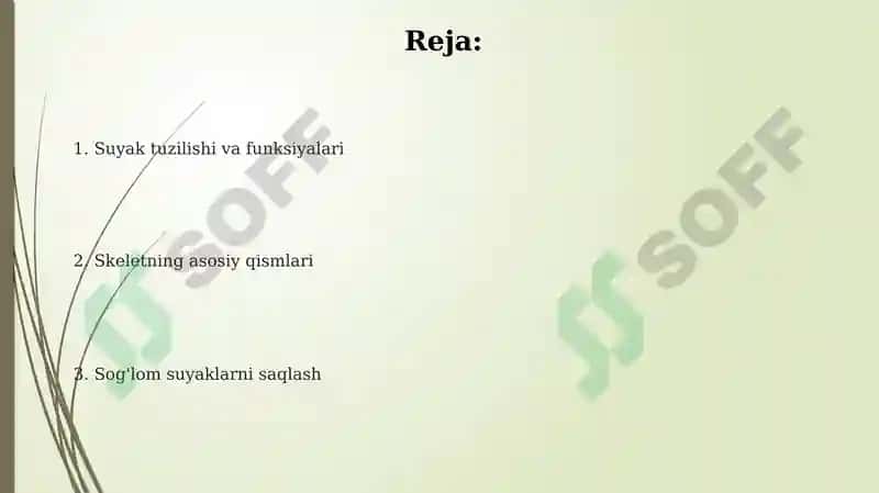 Suyak Tuzilishi va Funksiyalari 2