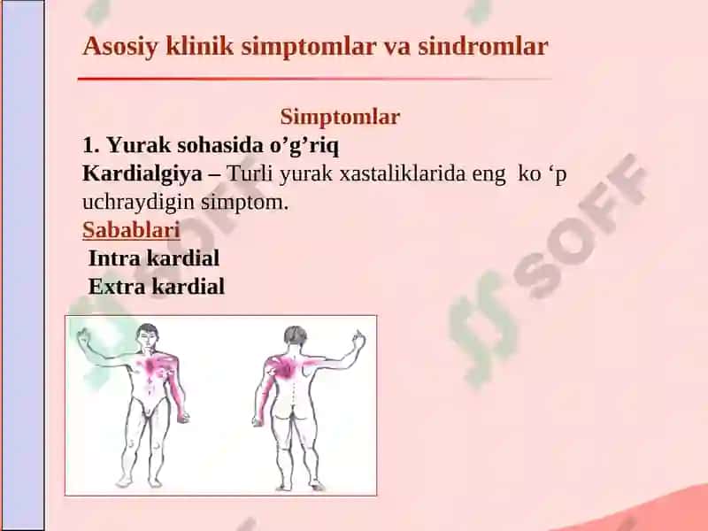 Asosiy klinik simptomlar va sindromlar 2