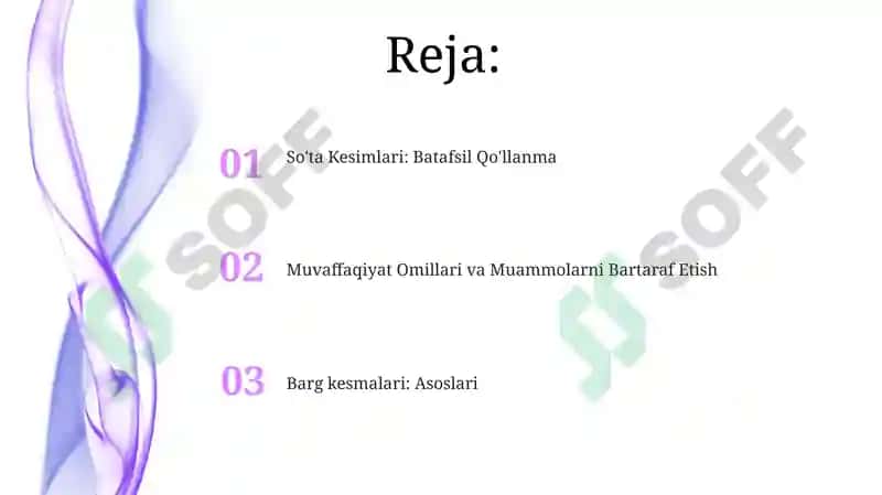 Bargsiz qalamchalar tayyorlash 2