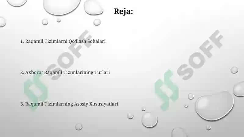 Raqamli Tizimlar va Axborotlar 2