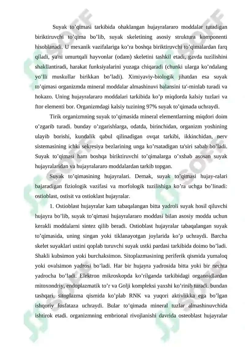 Suyak to’qimasi 2
