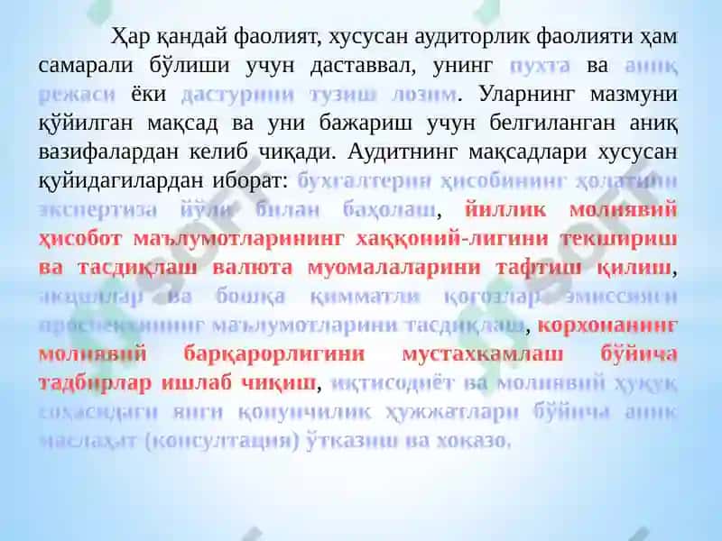 Auditorlik tekshiruvini rejalashtirish 2