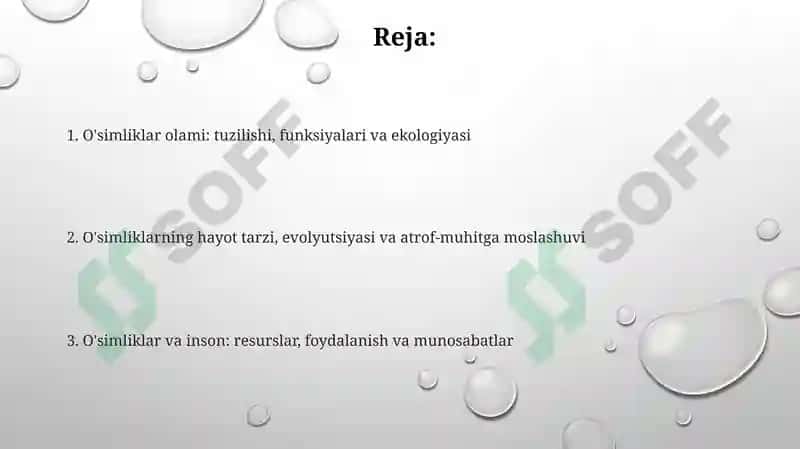 O'simliklar dunyosi va ularni hayot tarzi 2