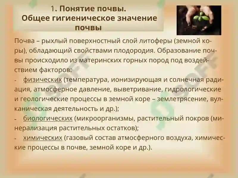 Гигиена почвы 2