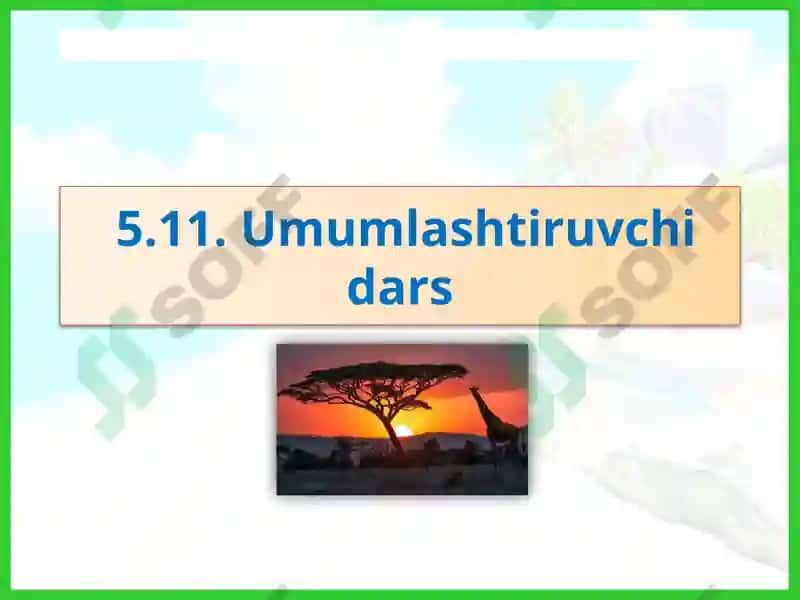 Umumlashtiruvchi Dars 2