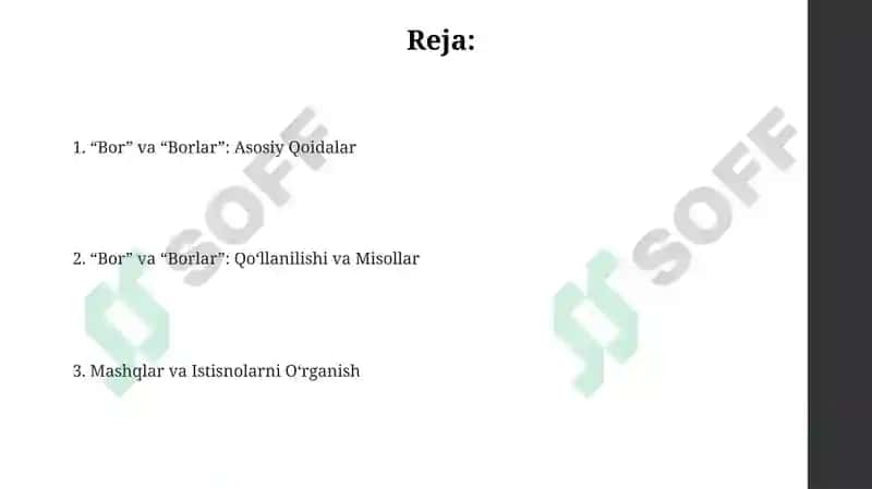 "Bor" va "Borlar": Asosiy Qoidalar 2