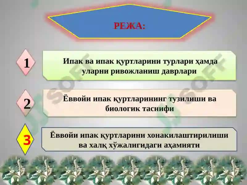 Ипак ва ипак қуртларини турлари 2