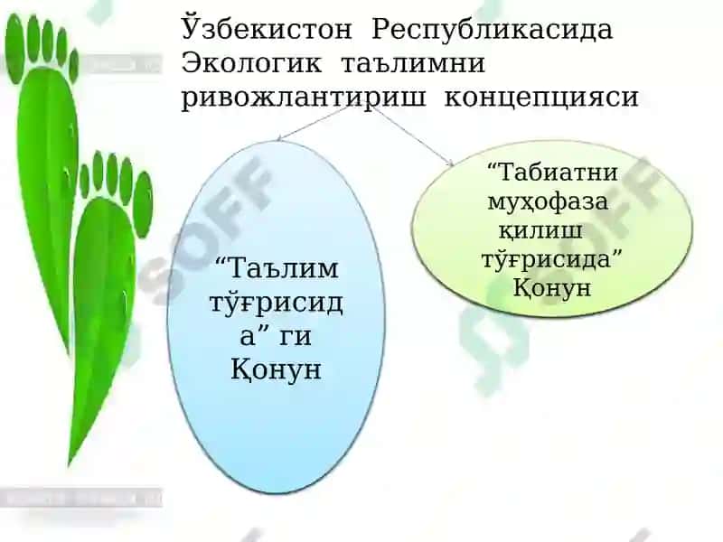 ЭКОЛОГИК ТАЪЛИМНИ РИВОЖЛАНТИРИШ 2