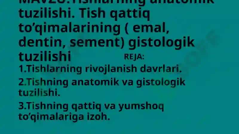 Tishlarning anatomik tuzilishi 2