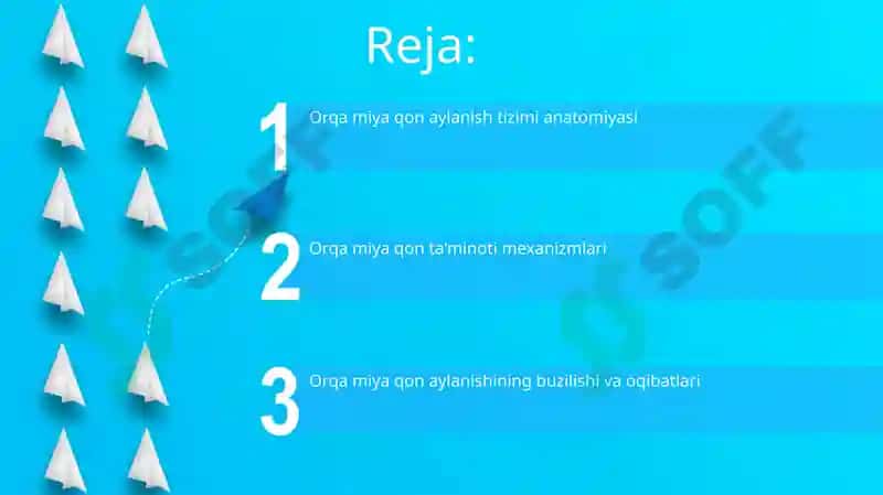 Umurtqalilarda qon aylanish sistemasi 2