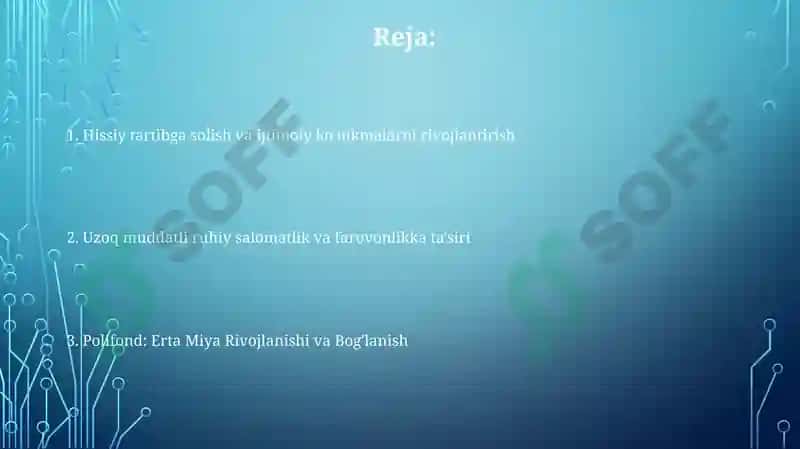Nuqiddinova 2
