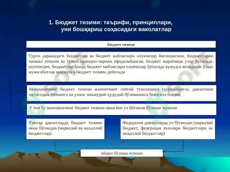 Бюджет тизими 2